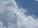 DSCN1516.jpg